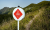 Hiking trails near the campsite