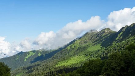 Informational detox - outdoor recreation at Nahazo 
